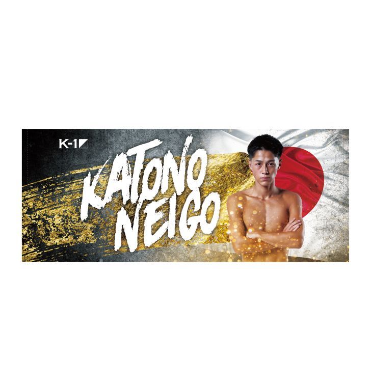 uid:ad1b768d-d071-4b33-92be-edf0c757fa88