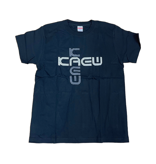 Kaew Weerasaklerk T-shirt Grey