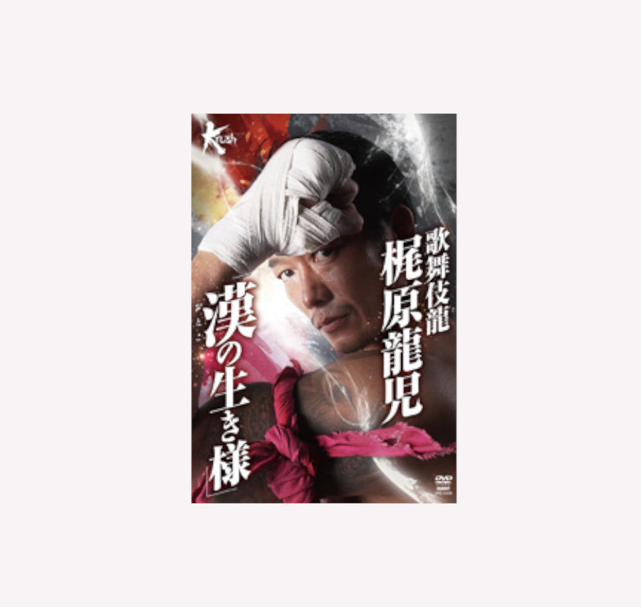 歌舞伎龍　梶原龍児